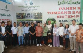 Kurma Datu Lombok Utara, Varietas Kurma Unik yang Siap Mendunia BERITA WUKONG778 MUSIC