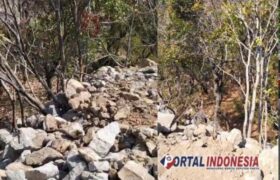 Miris! Puluhan Pohon Perhutani di Perbatasan Probolinggo-Situbondo Tertimbun Material Proyek Nasional BERITA WUKONG778 MUSIC