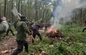 Cegah Karhutla, Perhutani KPH Pati Gelar Apel Siaga dan Simulasi Penanggulangan BERITA WUKONG778 MUSIC