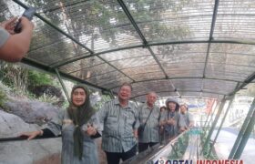 Gembira Loka Zoo Hadirkan Travelator Outdoor untuk Pengunjung BERITA WUKONG778 MUSIC