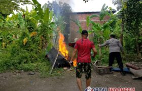 Polsek Sukodono Bongkar Arena Sabung Ayam di Plumbungan, Polisi Janji Tindak Tegas BERITA WUKONG778 MUSIC