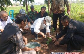 Kotasejuk Nganjuk Tanam Pohon Kemenyan di Candi Lor, Hidupkan Jejak Sejarah Leluhur BERITA WUKONG778 MUSIC