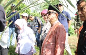 Kurma Lombok Utara Menjelma Jadi Ikon Ekonomi dan Destinasi Wisata Baru BERITA WUKONG778 MUSIC
