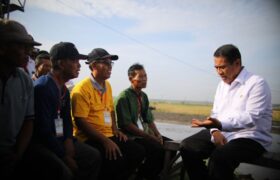 Mentan tegaskan keberpihakan ke petani dan berani hadapi mafia beras BERITA WUKONG778 MUSIC