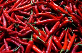 Harga Pangan Hari Ini: Cabai Rawit dan Bawang Merah Turun, Ayam dan Ikan Naik BERITA WUKONG778 MUSIC