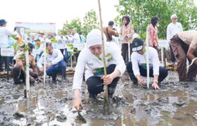 Luasan Mangrove Meningkat 13 Persen, Pemprov Jatim Konsisten Lakukan Rehabilitasi BERITA WUKONG778 MUSIC