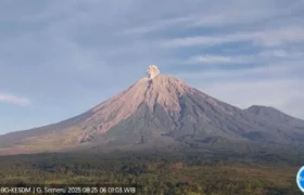 Gunung Semeru Kembali Erupsi Hari Ini, Tinggi Letusan Capai 700 Meter BERITA WUKONG778 MUSIC