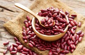 Hasil Studi, Kacang Merah Lancarkan Pencernaan dan Bisa Kurangi Risiko Sembelit BERITA WUKONG778 MUSIC