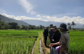 Unsoed Dampingi Petani Banjaranyar Kembangkan Padi Hitam Organik dan Kelembagaan Ekonomi BERITA WUKONG778 MUSIC