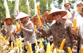 Kapolda Sumsel Hadiri Gebyar Perbenihan Tanaman Pangan Nasional BERITA WUKONG778 MUSIC