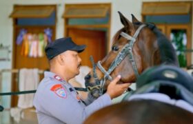 Derap Kuda Iringi Langkah Pengabdian Aiptu Biyanto Hidupkan Tradisi Andong Wisata Purwodadi BERITA WUKONG778 MUSIC