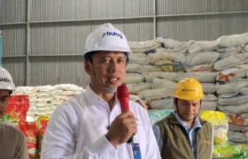 Bulog Pastikan Kualitas Beras dari Sisa Impor 2024 Tetap Terjaga BERITA WUKONG778 MUSIC