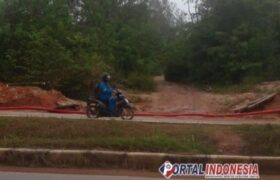 Aktivitas Tambang Pasir di Kawasan KKOP Hang Nadim Batam Dinilai Ancam Keselamatan Penerbangan BERITA WUKONG778 MUSIC