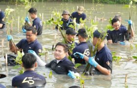 Jaga Kelestarian Pesisir, PAL Tanam Dua Ribu Bibit Mangrove di Surabaya BERITA WUKONG778 MUSIC