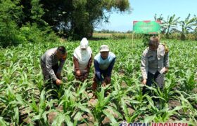 Polsek Balongbendo Dorong Warga Ubah Lahan Tidur Jadi Pekarangan Produkti BERITA WUKONG778 MUSIC