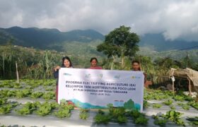 PLN UIP Nusra Hadirkan Pertanian Modern di Poco Leok Melalui Program Electrifying Agriculture BERITA WUKONG778 MUSIC
