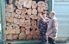 TNI AL di Surabaya Gagalkan Pengiriman Kayu Ilegal dari Sulawesi ke Surabaya BERITA WUKONG778 MUSIC