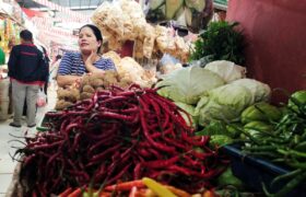 Harga Pangan Awal September: Cabai Rawit Rp42.542 per Kg, Bawang Merah Rp43.202 per Kg BERITA WUKONG778 MUSIC